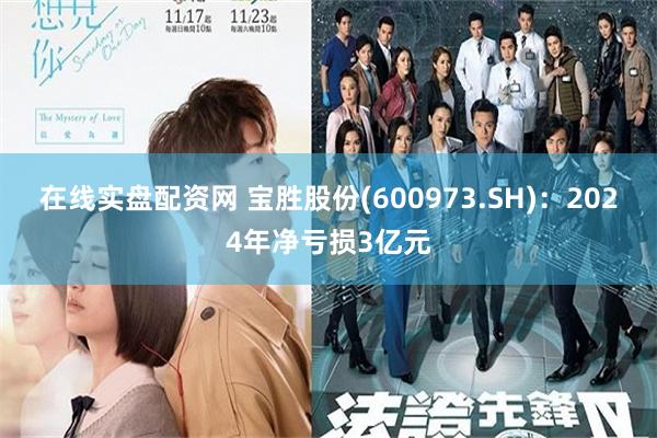 在线实盘配资网 宝胜股份(600973.SH)：2024年净亏损3亿元